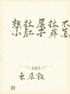 想拉屎拉不出来小肚子疼怎么回事