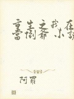 重生之我在末世当倒爷 小说