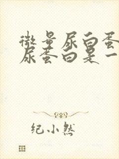 微量尿白蛋白和尿蛋白是一样吗