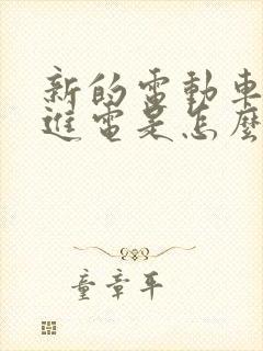 新的电动车充不进电是怎么回事