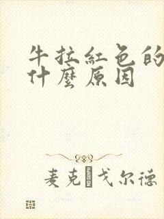 牛拉红色的尿是什么原因