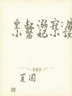 皇叔溺宠:废材小医妃小说txt