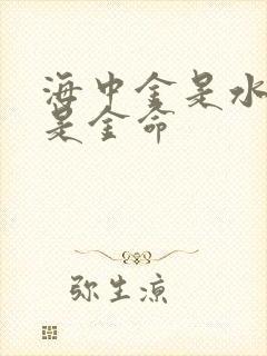 海中金是水命还是金命