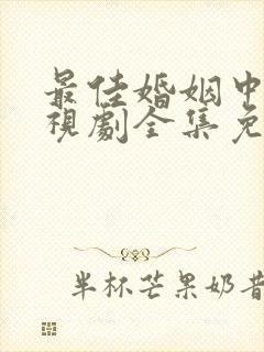 最佳婚姻中文电视剧全集免费观看