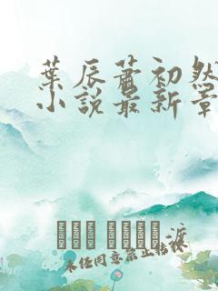 叶辰萧初然结局小说最新章节