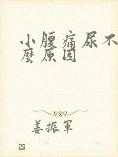 小腹痛尿不尽什么原因