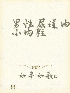 男性尿道内侧长小肉粒