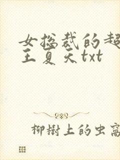 女总裁的超级兵王夏天txt