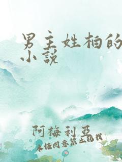 男主姓柏的总裁小说