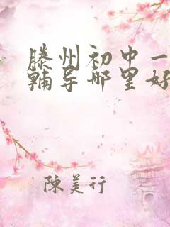 滕州初中一对一辅导哪里好