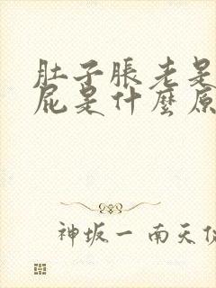 肚子胀老是想放屁是什么原因