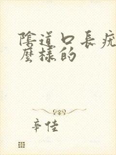 阴道口长疣是什么样的