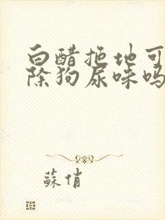 白醋拖地可以去除狗尿味吗