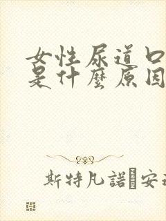 女性尿道口疼痒是什么原因引起的