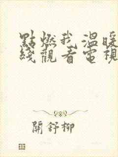 点燃我温暖你在线观看电视剧免费