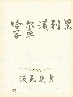 哈尔滨到黑河的客车