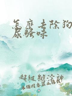 怎么去除狗狗的尿骚味