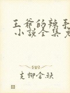 王爷的辣手毒妃 小说全集免费