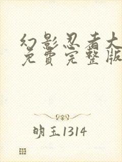 幻影忍者大电影免费完整版中文版