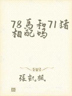 78马和71猪相配吗