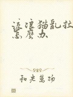 流浪猫乱拉乱尿怎么办