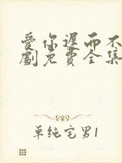 爱你迟而不晚短剧免费全集免费播放