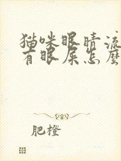 猫咪眼睛流眼泪有眼屎怎么回事