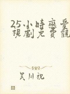 25小时恋爱电视剧免费观看