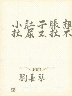 小肚子胀想拉屎拉尿又拉不出来