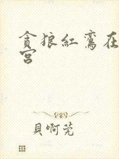 贪狼红鸾在夫妻宫