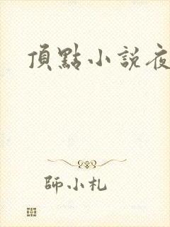 顶点小说夜无疆