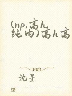 (np,高h,纯肉)高h高辣文