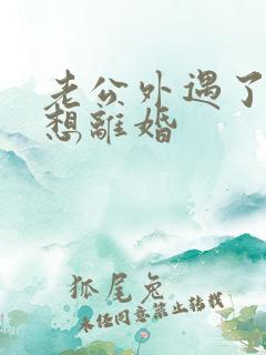 老公外遇了我不想离婚