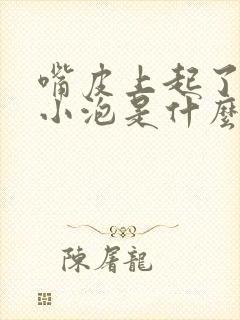 嘴皮上起了几个小泡是什么原因