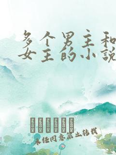 多个男主和一个女主的小说