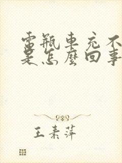 电瓶车充不上电是怎么回事