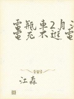 电瓶车2月没充电充不进电怎么办