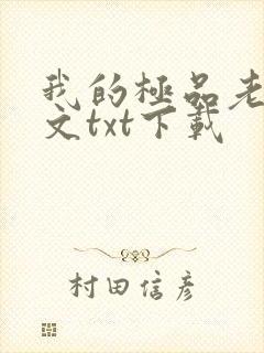 我的极品老婆全文txt下载