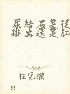 尿结石是从尿道排出还是肛门排出