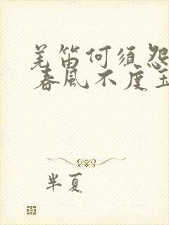 羌笛何须怨杨柳 春风不度玉门关什么意思