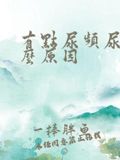 有点尿频尿痛什么原因