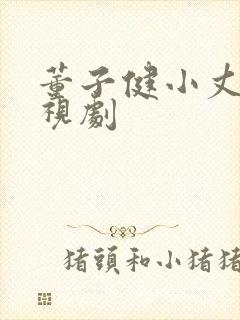 董子健小丈夫电视剧