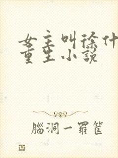 女主叫徐什么的重生小说