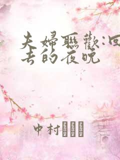 夫妇联欢:回不去的夜晚