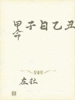 甲子日乙丑时男命