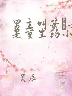 男主叫萧玦女主是重生的小说