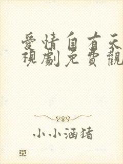 爱情自有天意电视剧免费观看完整版第一部