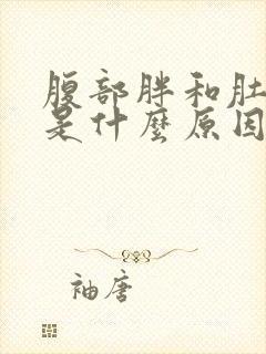 腹部胖和肚子大是什么原因