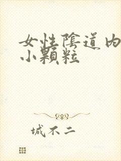 女性阴道内侧有小颗粒