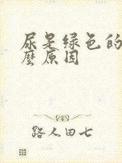 尿是绿色的是什么原因